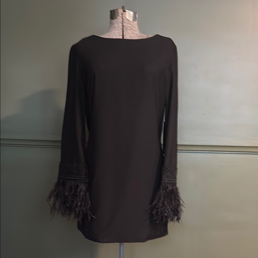 Amazing Black long sleeve feather sleeve shift dress. Very unique!
